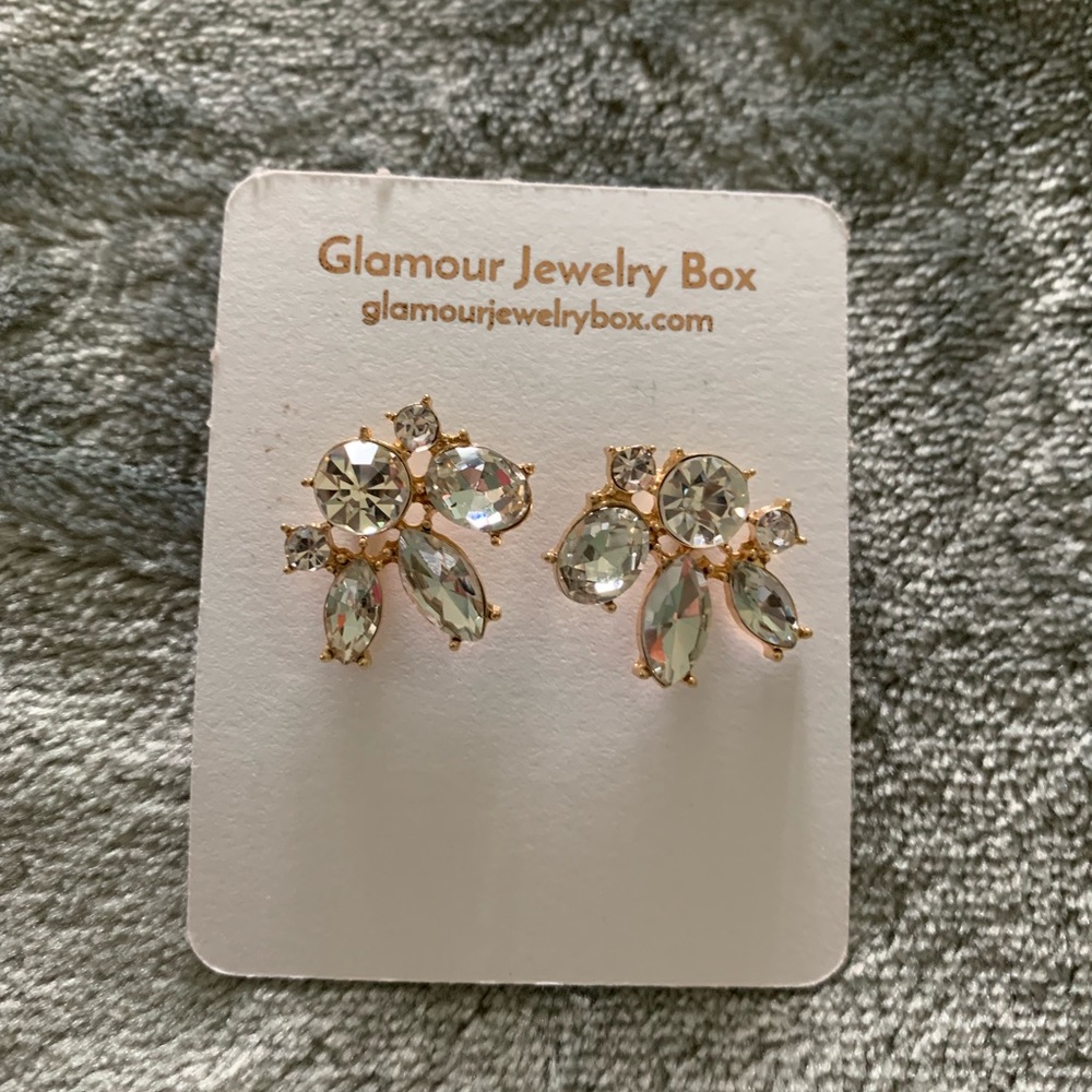 Bnwt earrings
